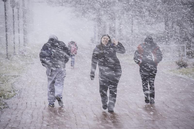 四个学生在暴风雪中走在外面